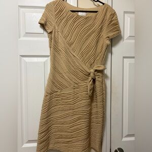 Casual Classic Tan Dress with tie for slimming